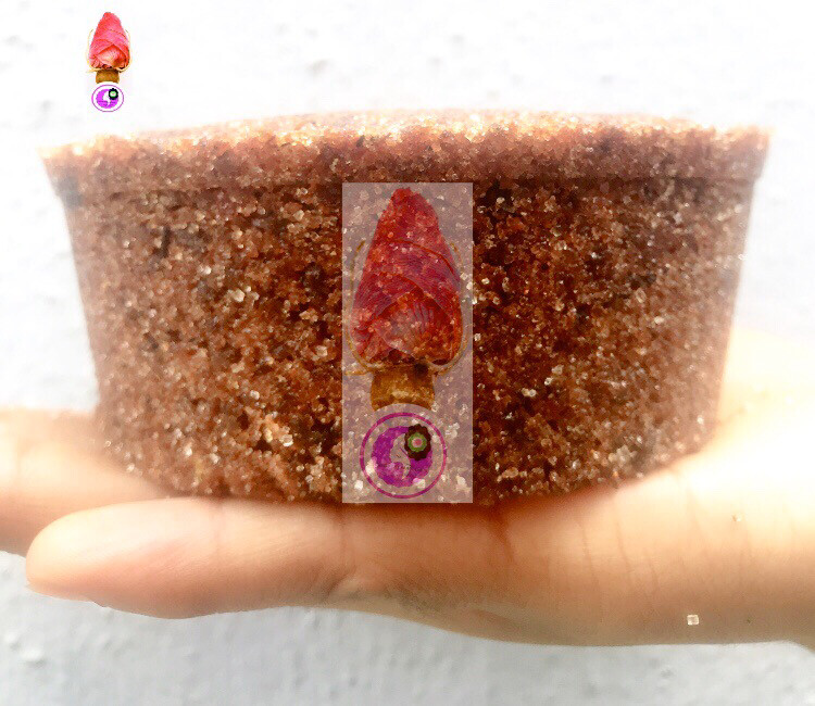 Microdermabrasion Body scrub