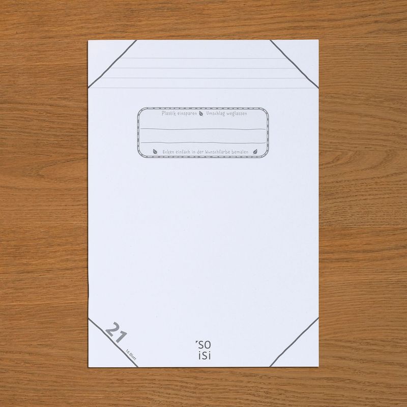 Lineatur 21 (liniert) DIN-A4