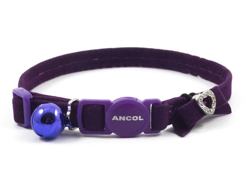 Ancol 2025 kitten collar