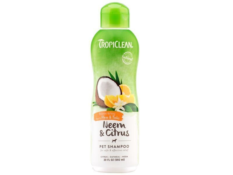 Tropiclean oatmeal top dog shampoo
