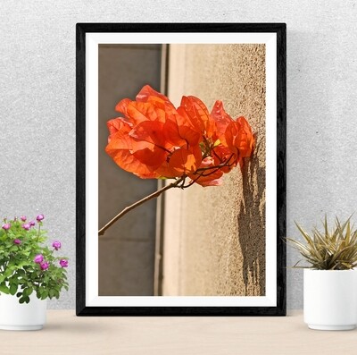Wall Decor with Photo Frame / Unframed / on Paper Canvas, Flower Wall Art