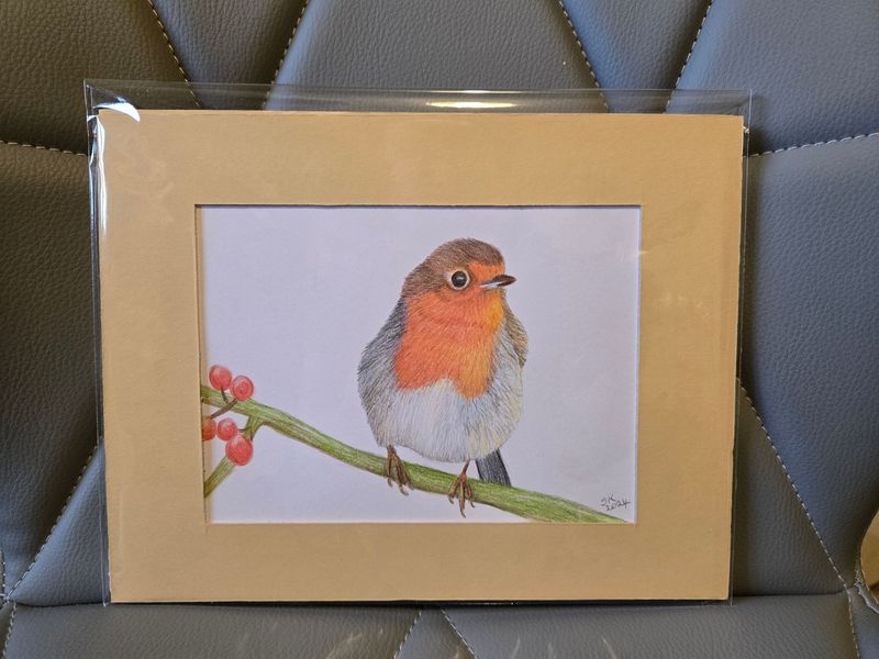 Robin - Original Pencil Drawing - Cream Mount - 9" x 7" approx