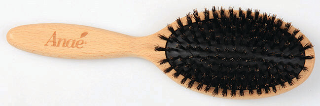 Brosse plate en hêtre et sanglier, ANAÉ