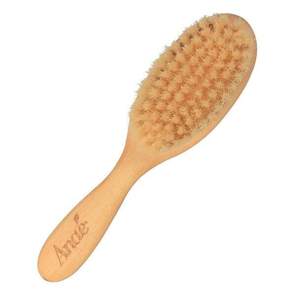 Brosse enfant, ANAÉ