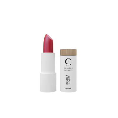 Un nouveau jour, Rouge à lèvres 291-rose framboise, COULEUR CARAMEL