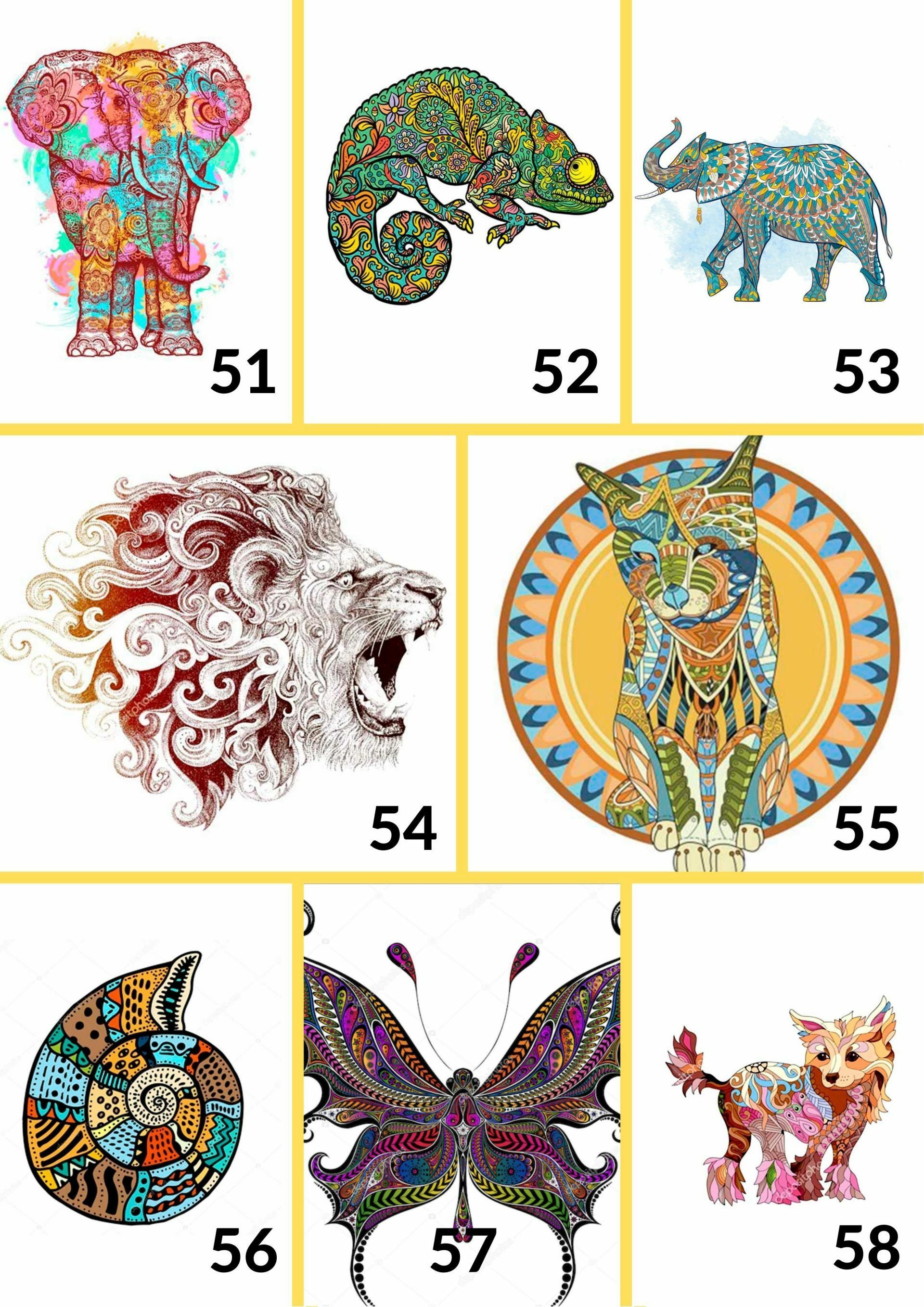 LEÓN rugiendo - Camiseta básica mujer