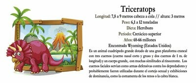 Triceratops infantil - Taza Impresa 