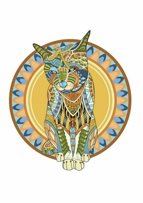 Gato circulo - Camiseta básica mujer