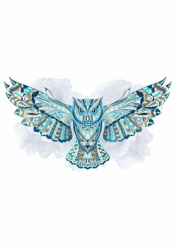 Buho colores azules - Camiseta básica mujer