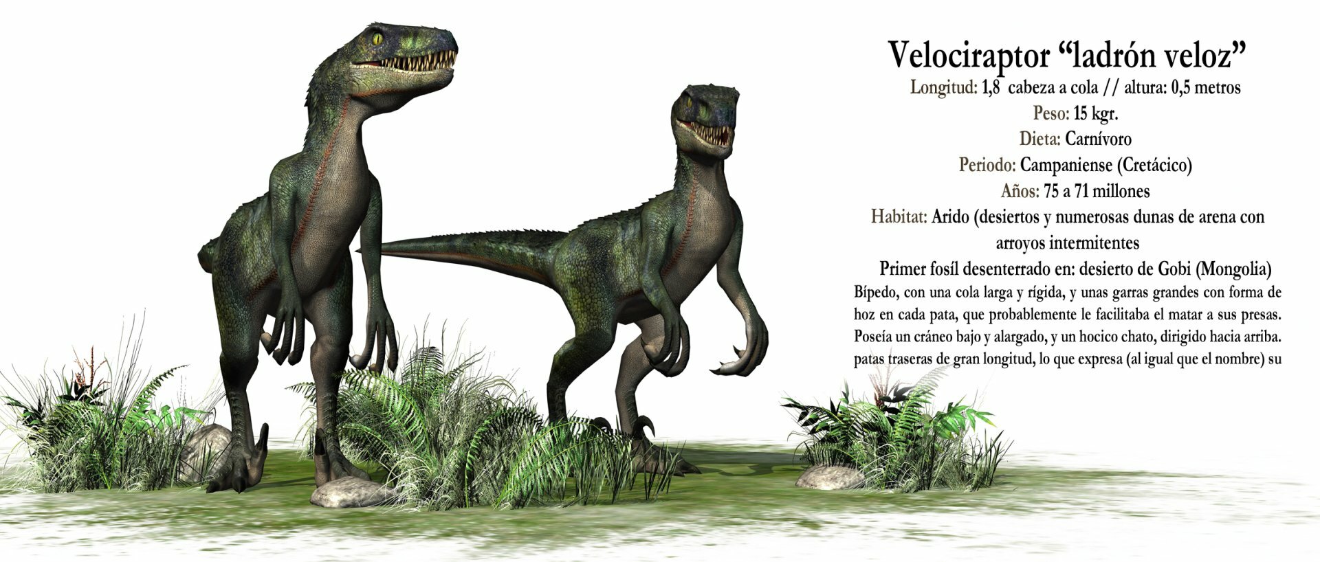 Dinosaurios - Taza Impresa