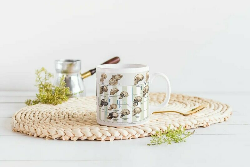 Evolución Humana -  Taza Impresa "Aprender es divertido"