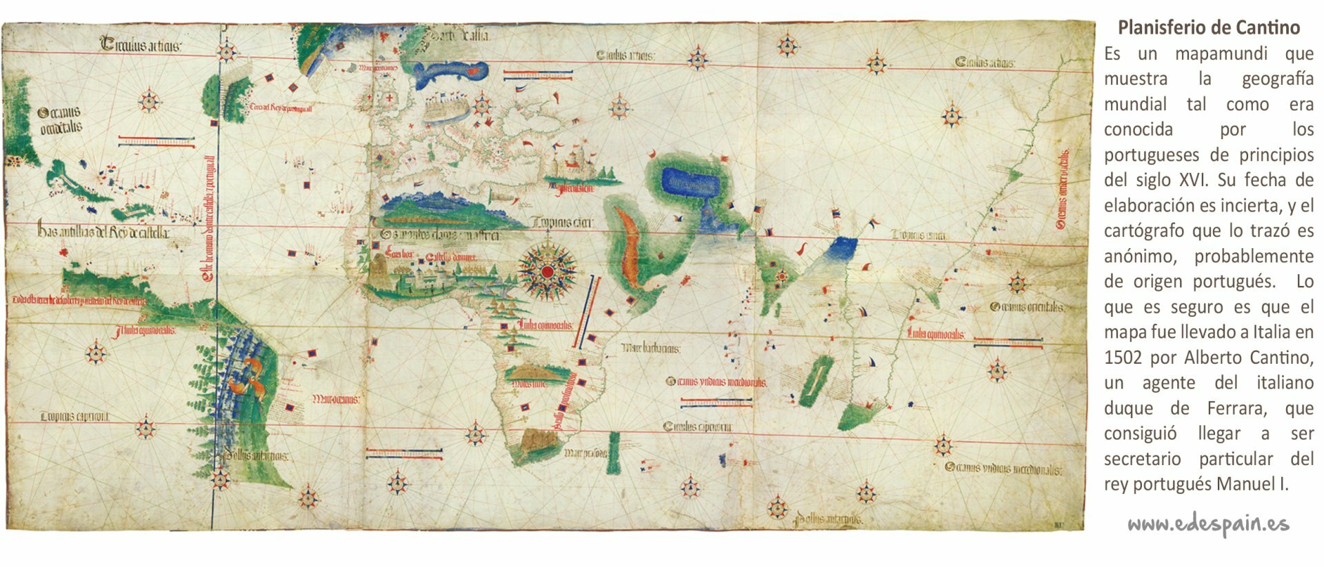 Mapas Históricos - Taza Impresa