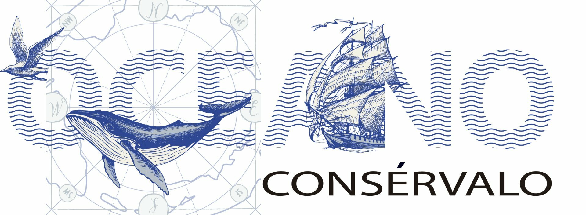 Camisetas LADY CURVES