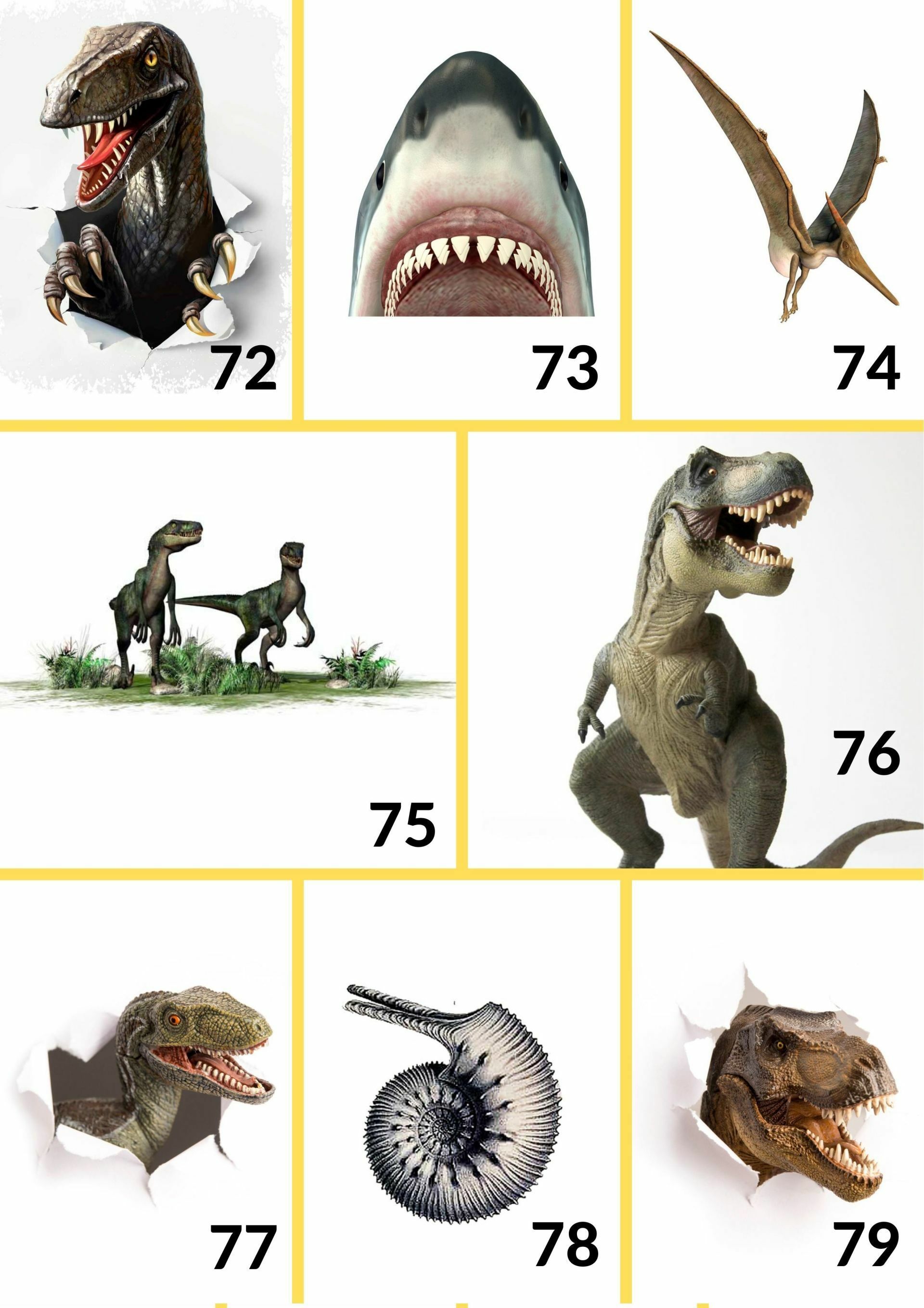 Camisetas UNISEX NIÑOS 