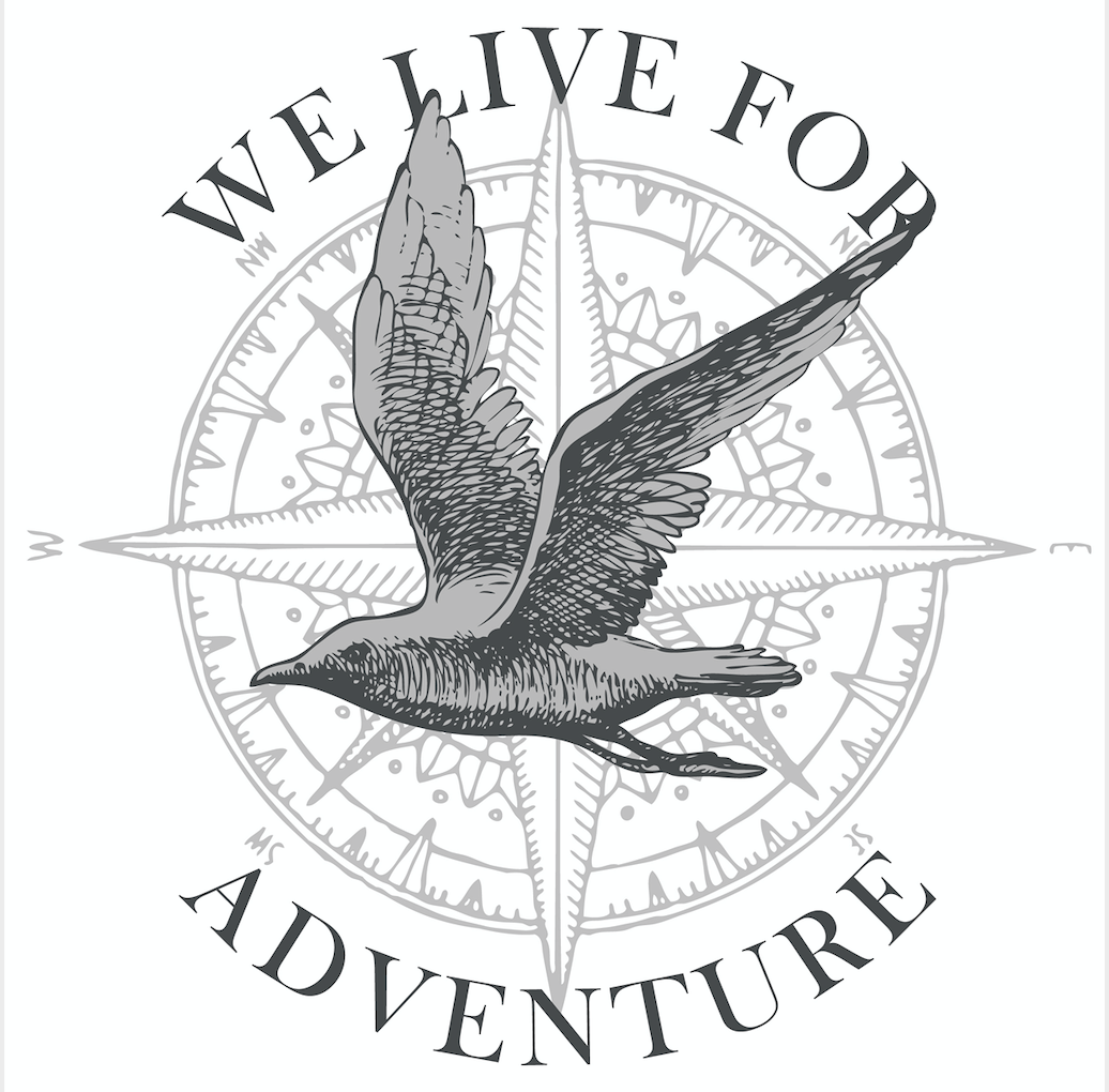 SUDADERAS UNISEX , estampados