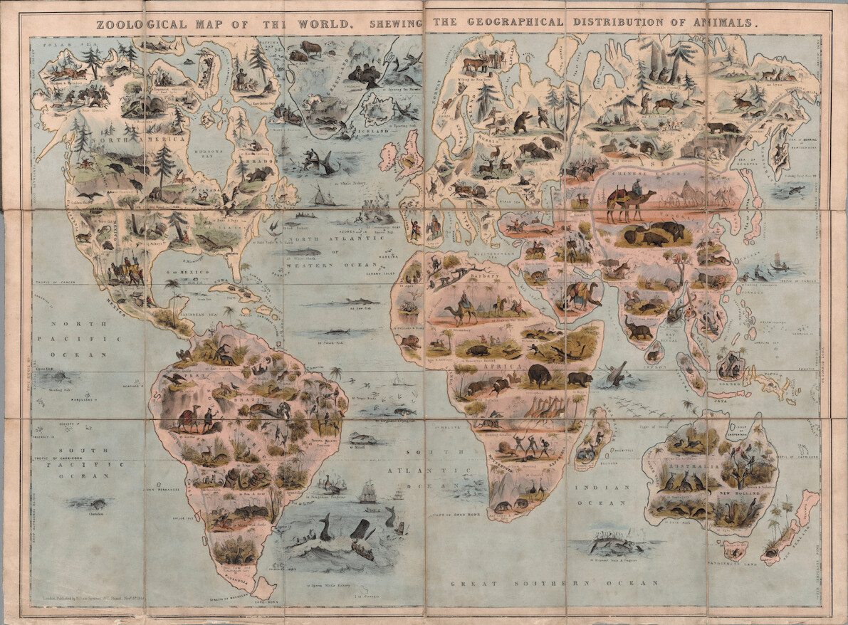 Mapa Zoológico del Mundo. 1844