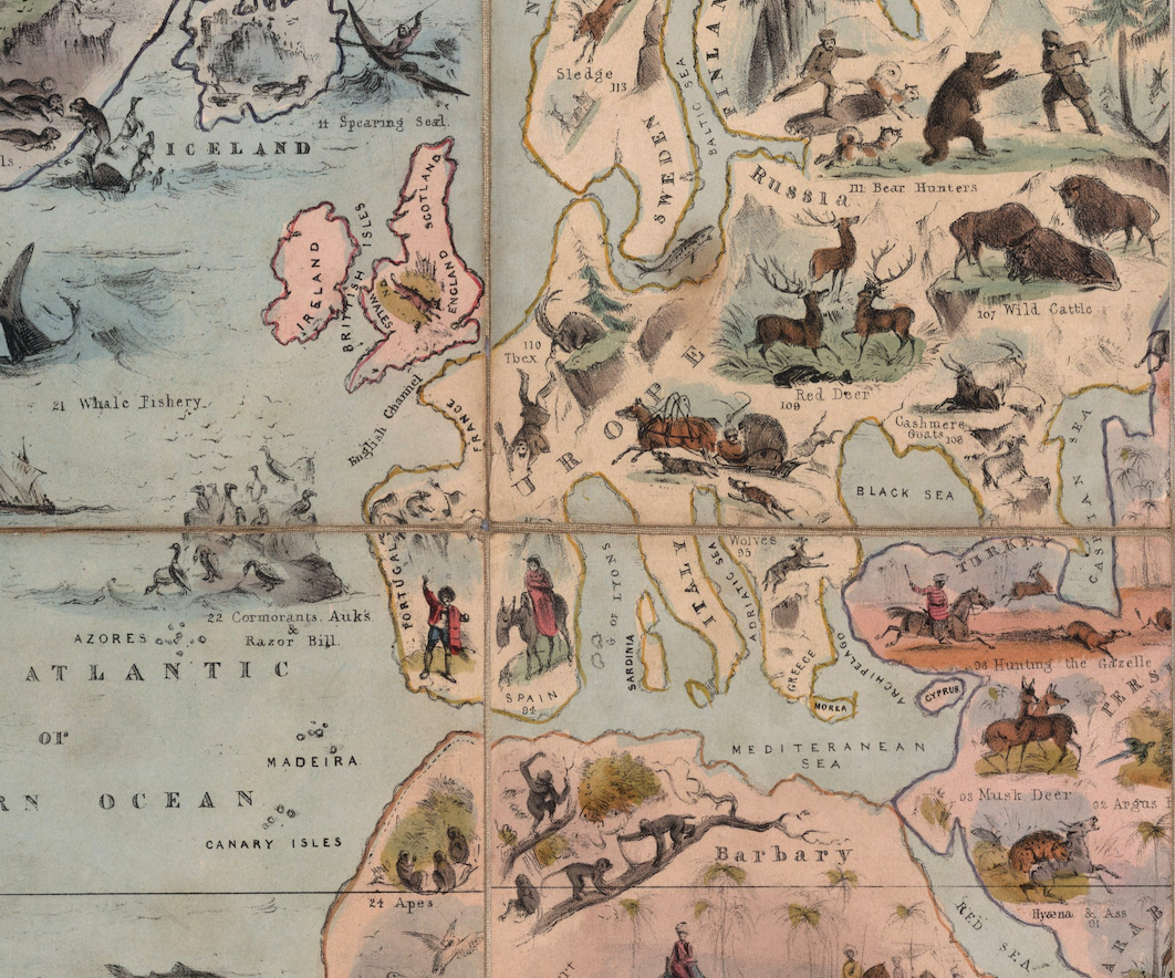 Mapa Zoológico del Mundo. 1844