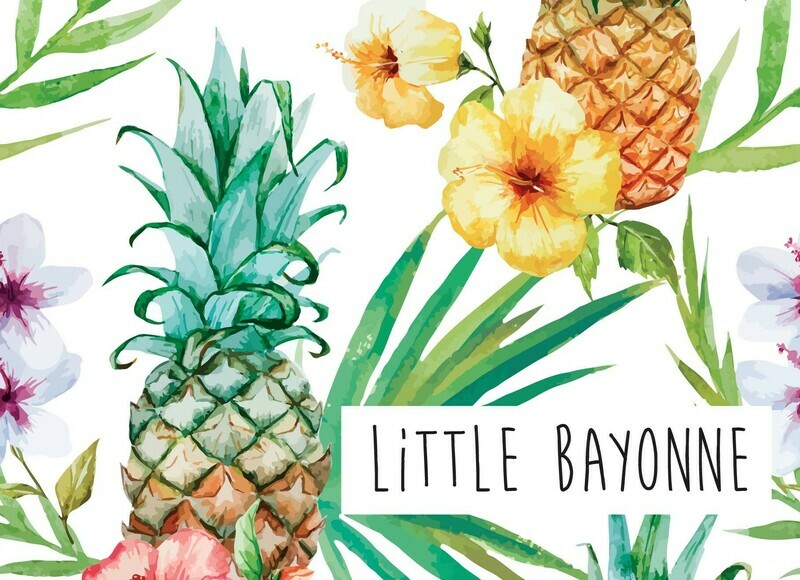 Carte Postale - Ananas Bayonnais