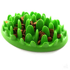 spring rope for dogs