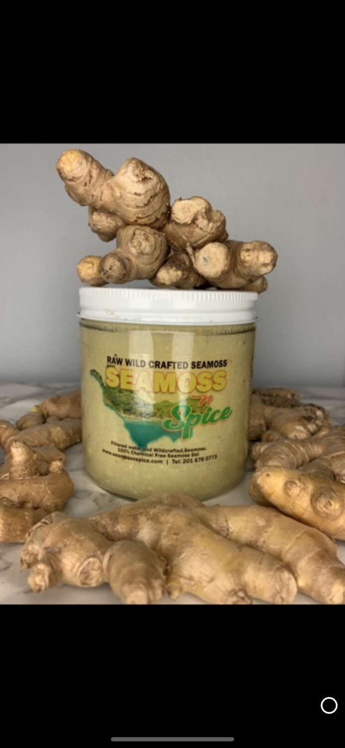 16oz WILDCRAFTED GINGER