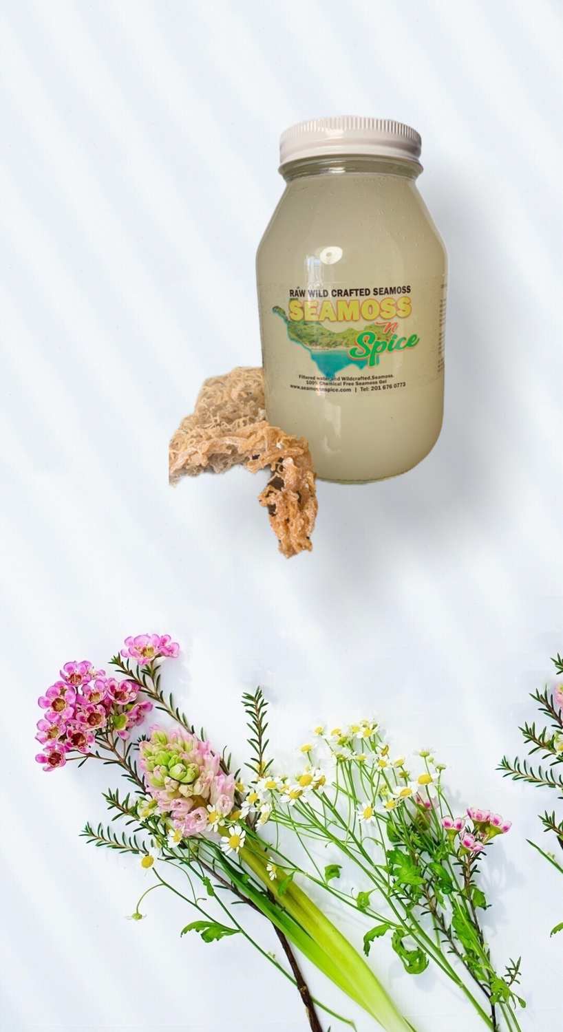 16 oz WILDCRAFTED Plain Sea Moss Gel
