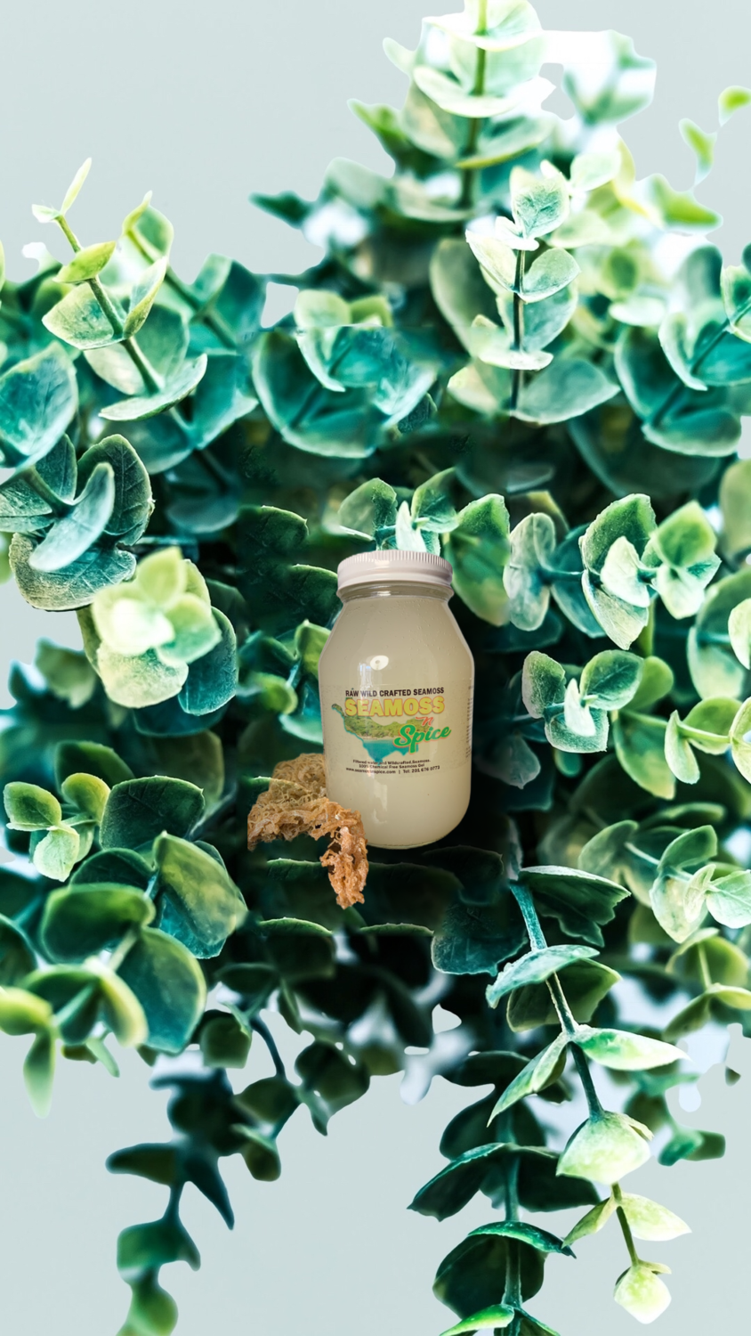 32 Oz Plain Organic WILDCRAFTED Sea Moss Gel
