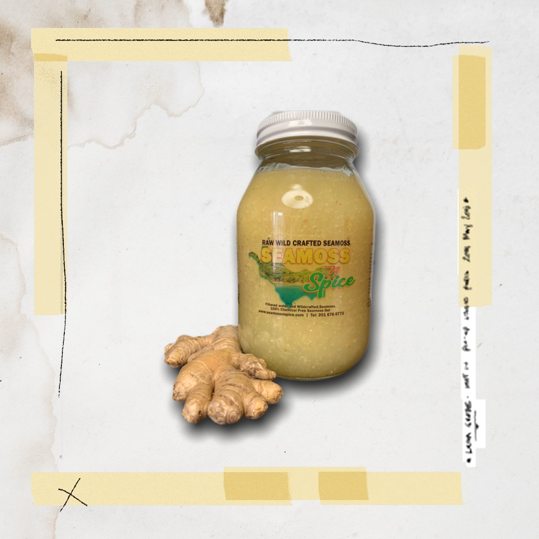 32 OZ Organic WILDCRAFTED  Sea Moss Gel Infused With Ginger 
