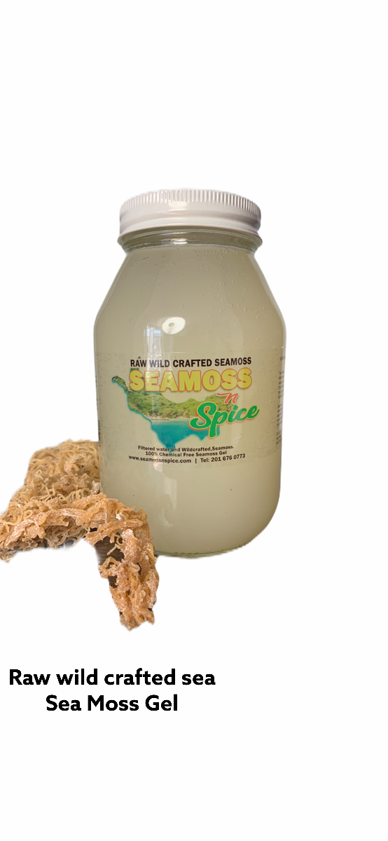 32 Oz Plain Organic WILDCRAFTED Sea Moss Gel