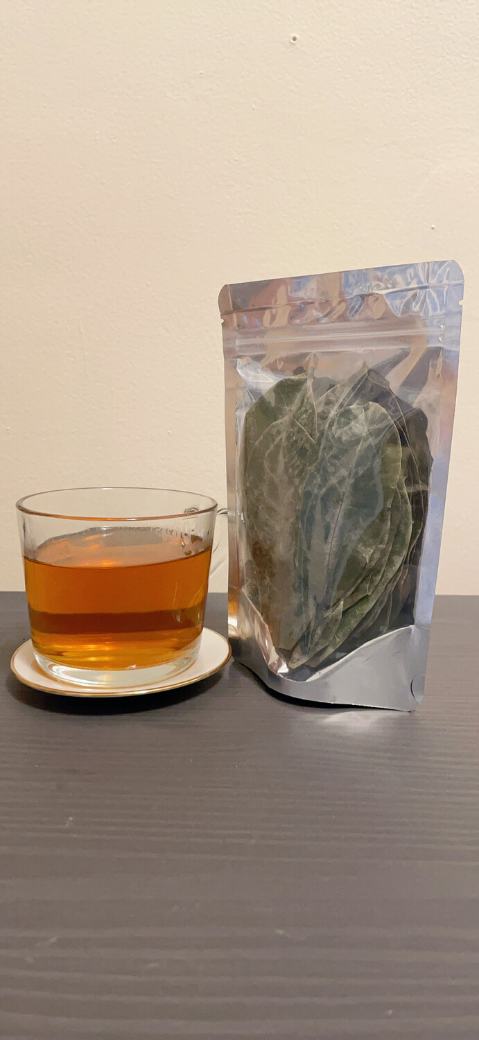 Hand Selected Premium Soursop Leaves