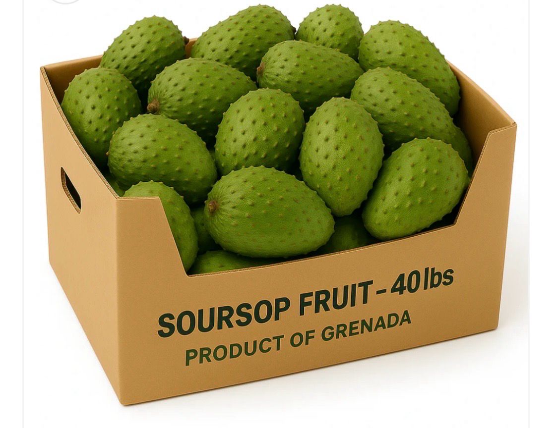 40lb Bulk Organic Soursop Fruit – Fresh Wholesale Tropical Produce