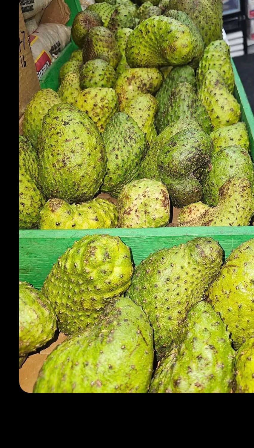 40lb Bulk Organic Soursop Fruit – Fresh Wholesale Tropical Produce