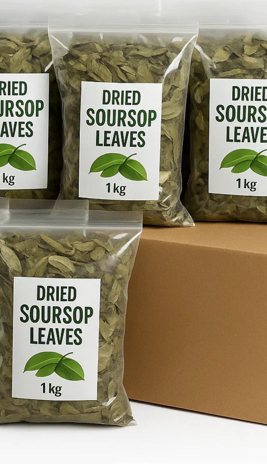 Dried Soursop Leaves 1kg (Bulk Wholesale) – Pack of 12