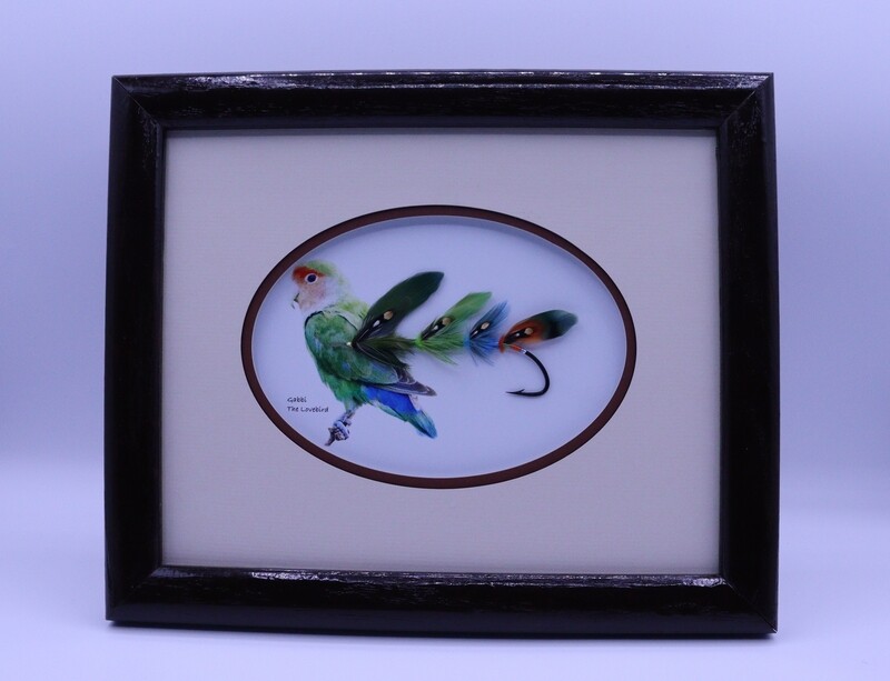 New Single Fly Frames 2023-2024!!