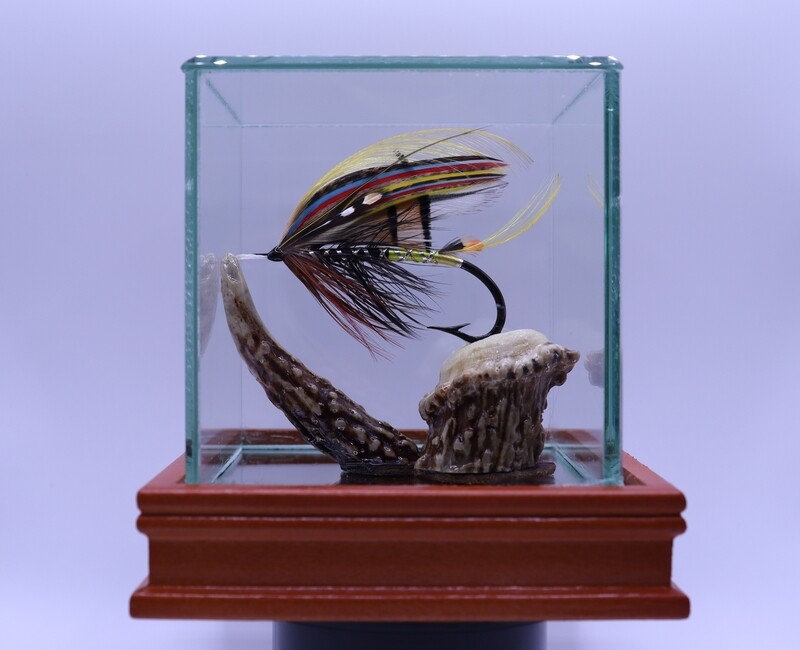 Delfur Fancy - Special Display