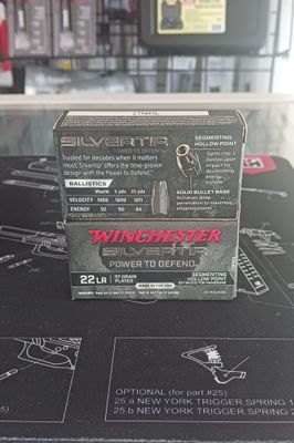 Winchester Silver Tip Segmented HP .22LR 37gr 50rd Box