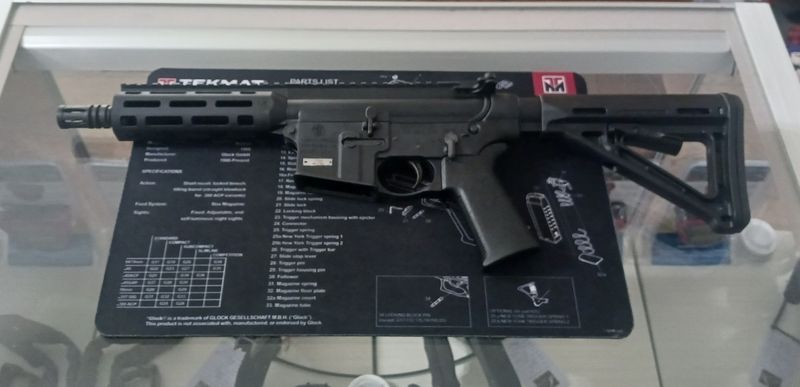 Smith &amp; Wesson M&amp;P 15-22 .22LR 8in SBR w/1-25rd Mag by Benbow City Sports. Oak Lawn, IL (DEMO)