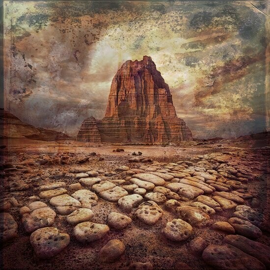 Skeleton Desert