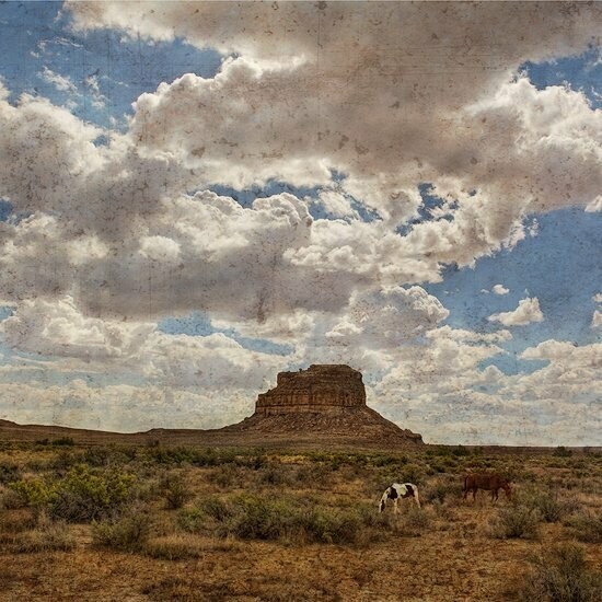 Chaco