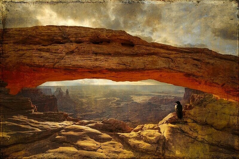 The Watchman