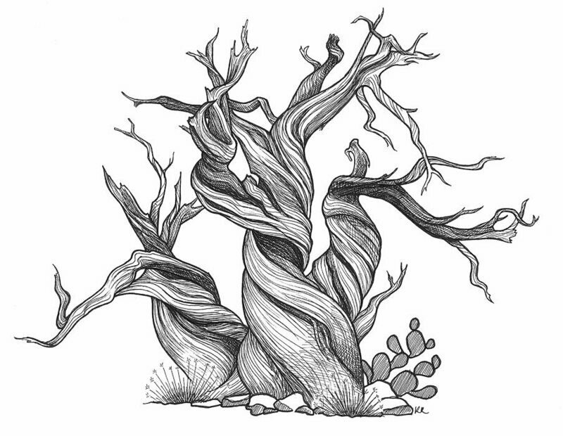 Kelsey  - Drawing reproduction + Prints