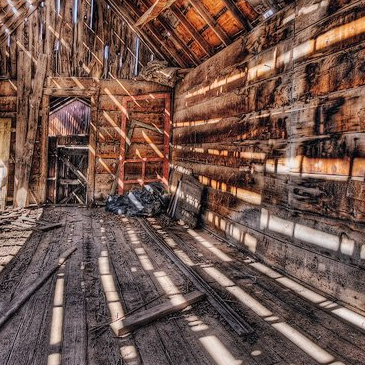 A Barn Experience