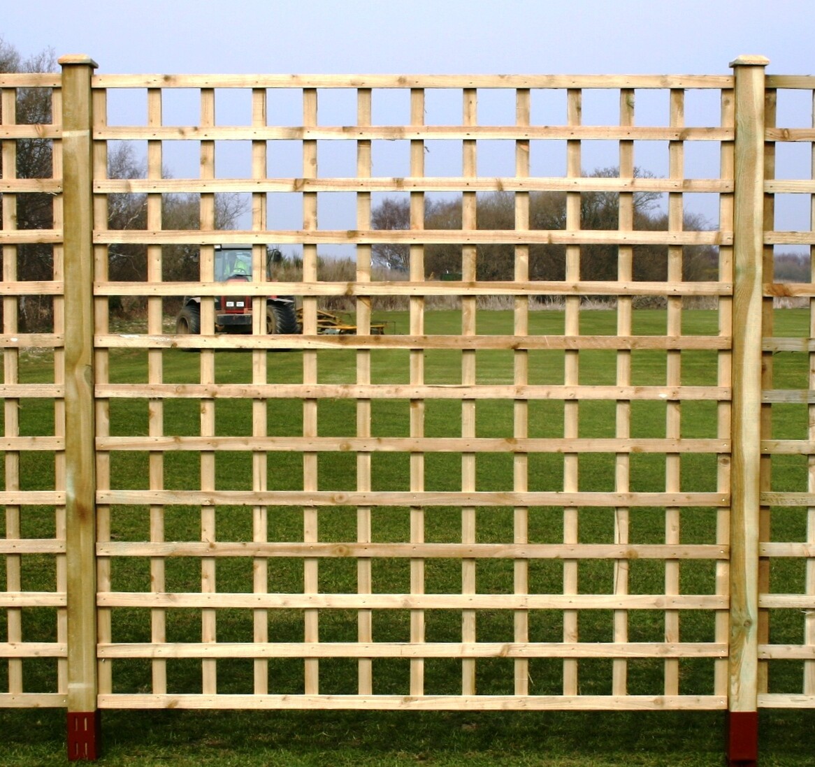Heavy Duty Trellis Heavy Duty Trellis
