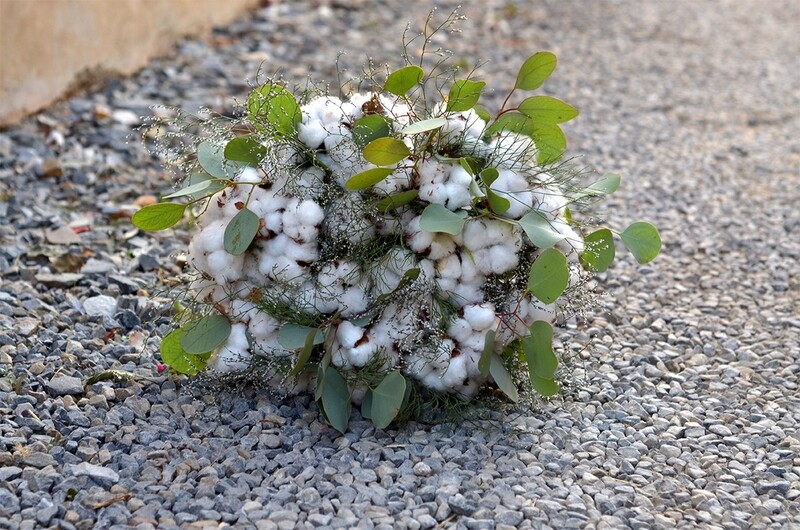 Bouquet de Coton