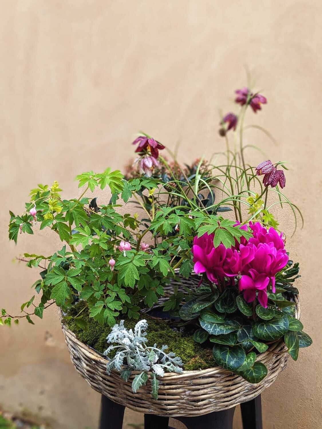 Couronne de plantes en base osier