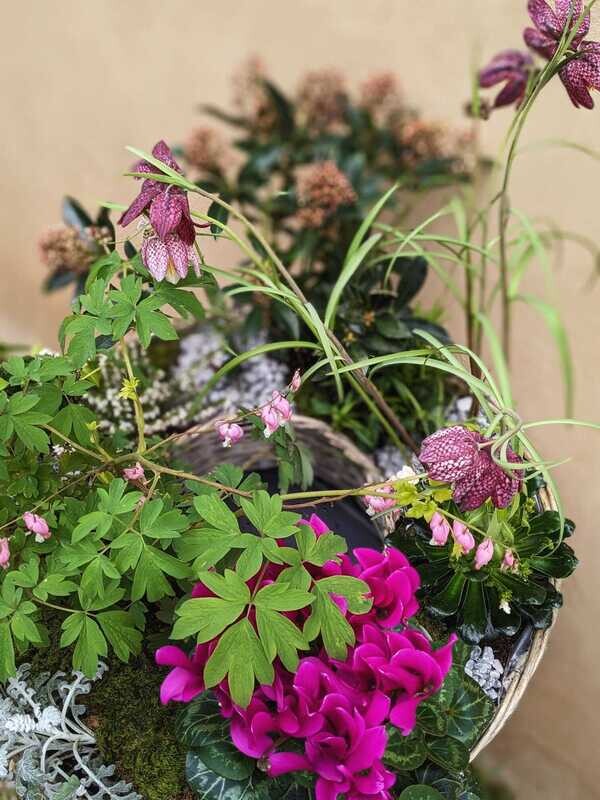 Couronne de plantes en base osier