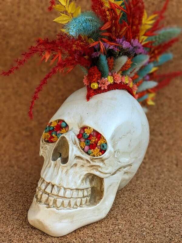 Crane Skull en fleurs séchées Teintes pétillantes