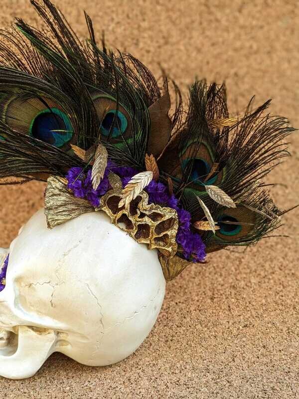 Crane Skull en fleurs séchées Plumes de Paon