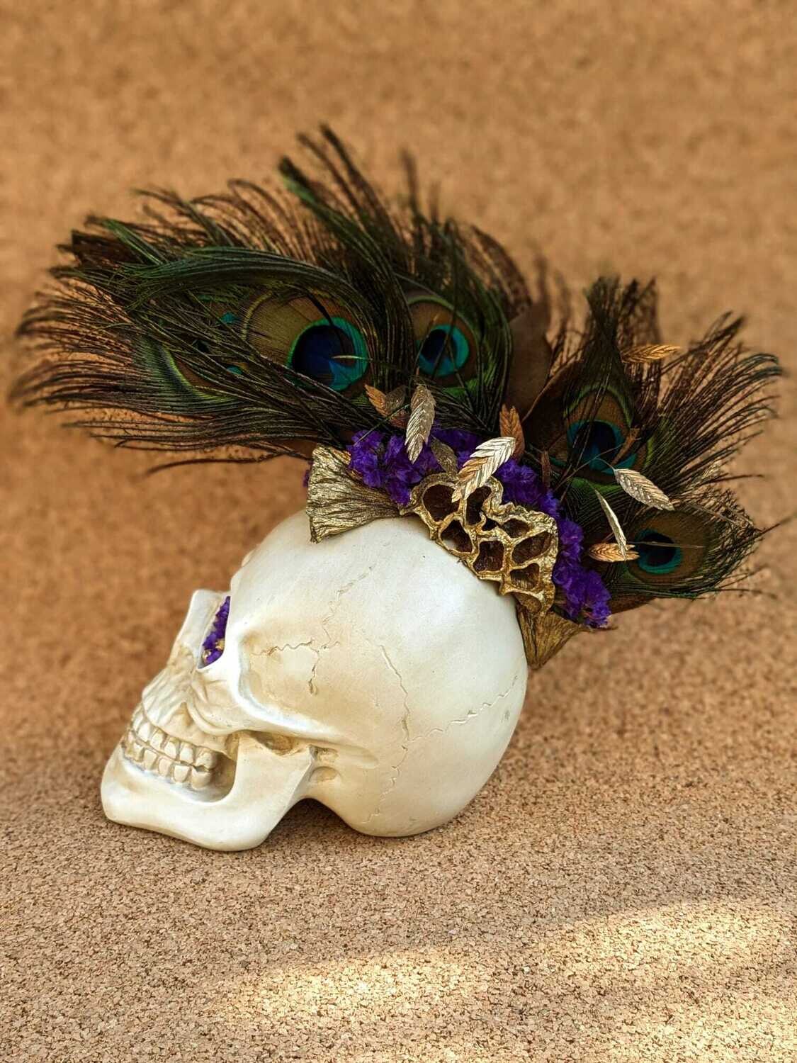 Crane Skull en fleurs séchées Plumes de Paon