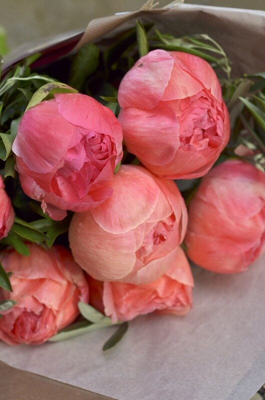 Bouquet de Pivoines corail