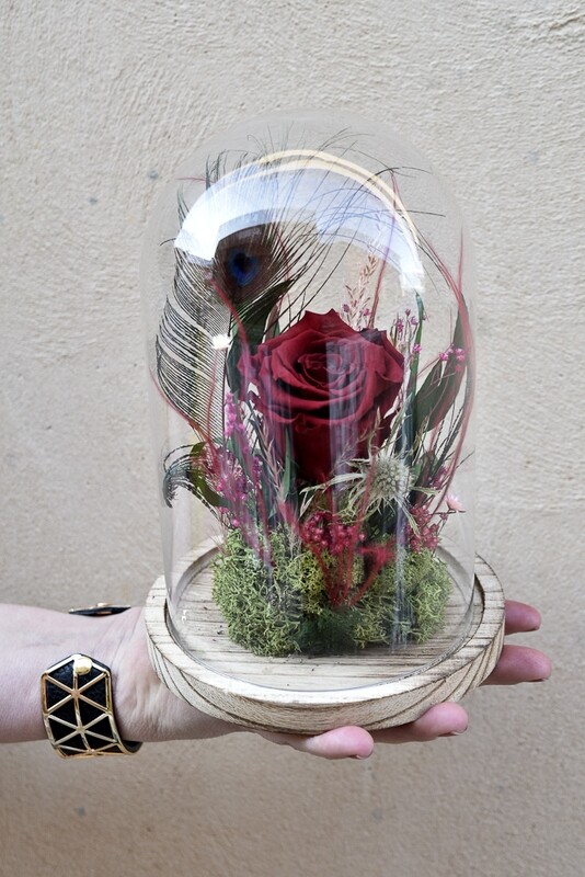 Cloche verre Rose rouge stabilisée